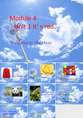 外研版小学英语课件-Unit 1 It's red! 课件 1.ppt