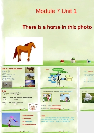 外研版小学英语课件-Unit 1 There is a horse in this photo 课件 1.ppt