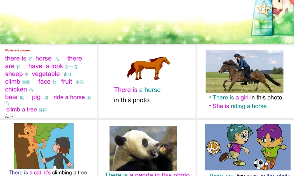 外研版小学英语课件-Unit 1 There is a horse in this photo 课件 2.ppt