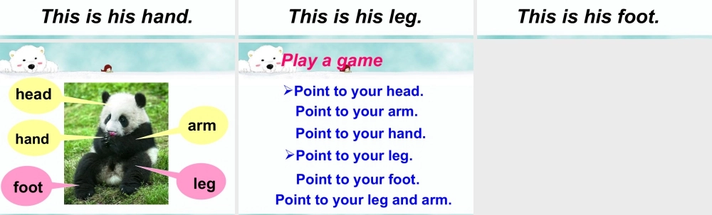 外研版小学英语课件-Unit 1 This is his head 课件 1.ppt