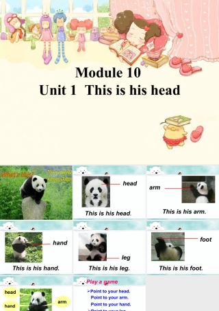 外研版小学英语课件-Unit 1 This is his head 课件 1.ppt