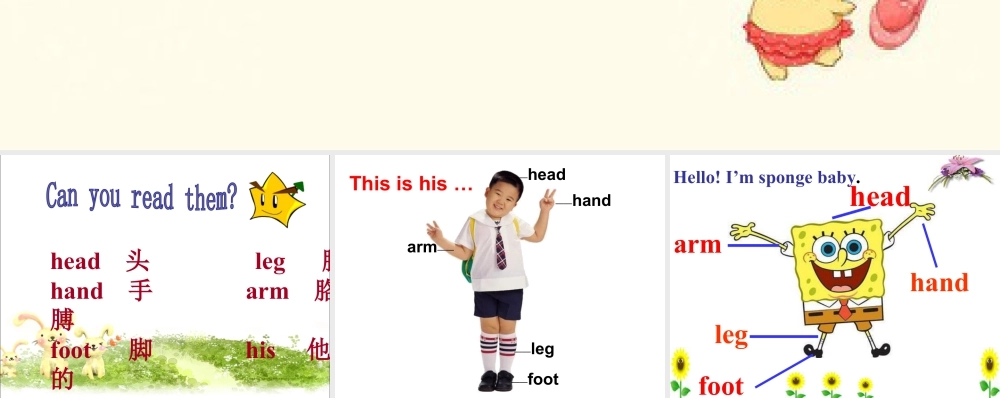 外研版小学英语课件-Unit 1 This is his head 课件 2.ppt