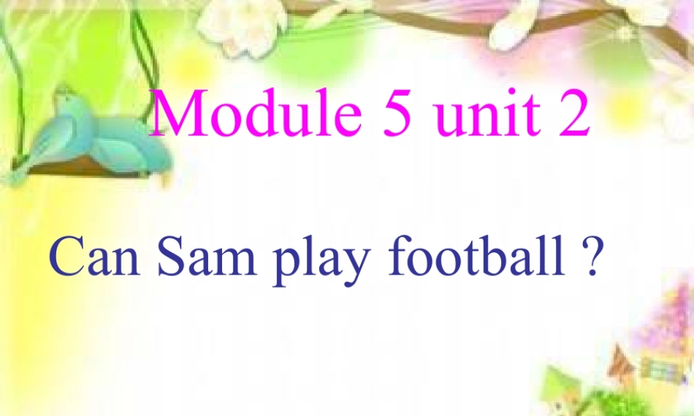 外研版小学英语课件-Unit 2 Can Sam play football 课件 1.ppt