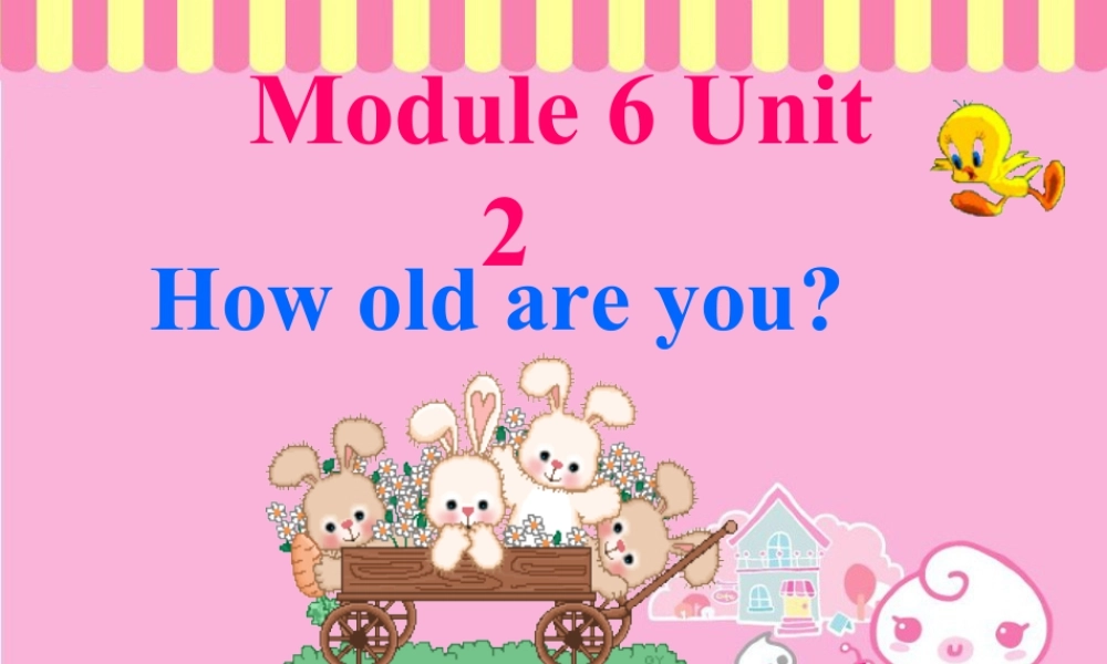 外研版小学英语课件-Unit 2 How old are you 课件 2.ppt