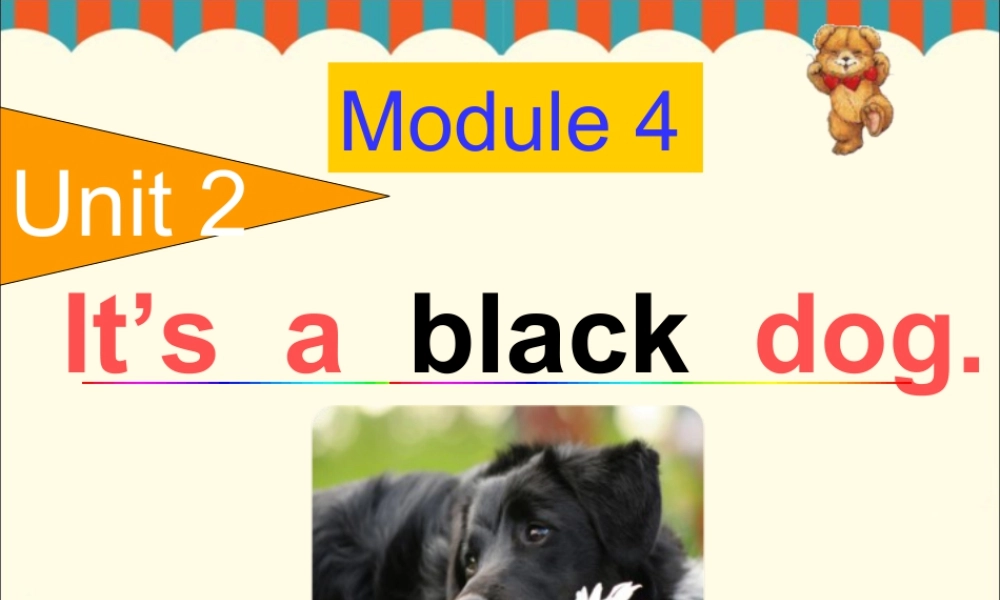 外研版小学英语课件-Unit 2 It's a black dog 课件 1.ppt