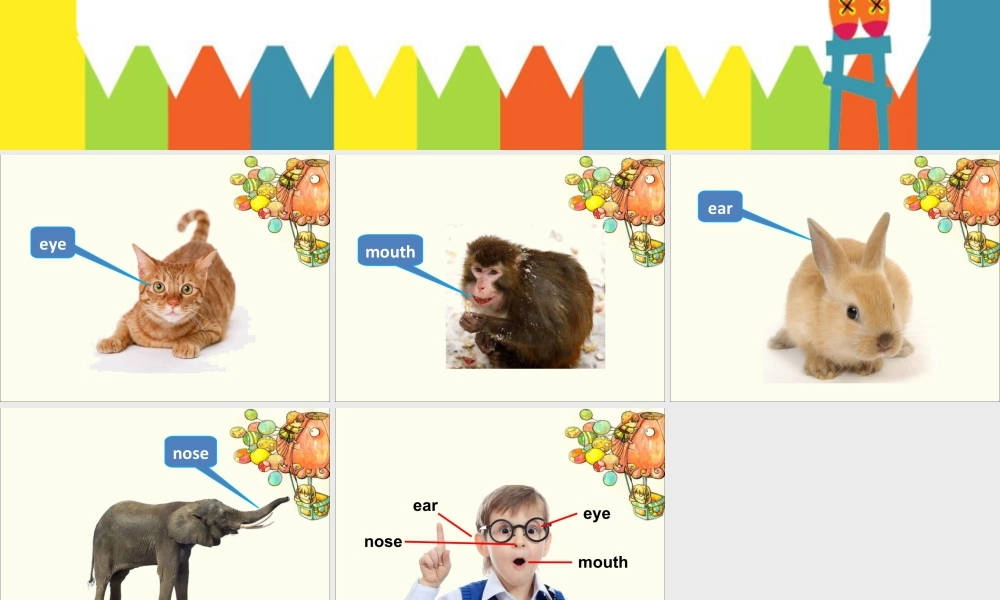 外研版小学英语课件-Unit 2 Point to her nose 课件 1.ppt