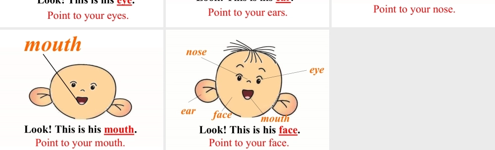 外研版小学英语课件-Unit 2 Point to her nose 课件 2.ppt