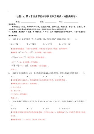 八年级数学上册-课时练习-1.12第1章三角形的初步认识单元测试（培优提升卷）-（解析版）【浙教版】.docx
