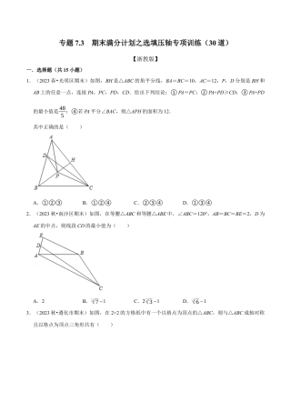 八年级数学上册-专项练习-期末满分计划之选填压轴专项训练（30道）（举一反三）（浙教版）（浙教版）.docx