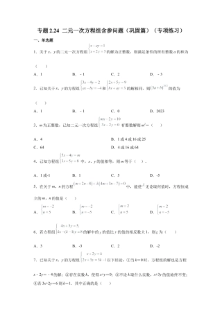 七年级数学下册-课时练习卷-2.24 二元一次方程组含参问题（巩固篇）（专项练习）-（浙教版）.docx