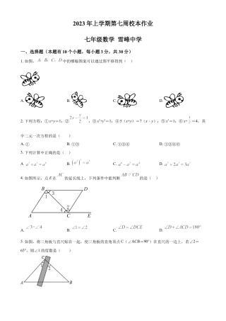 浙江省金华市义乌市义乌市雪峰中学七年级下学期第一次月考数学试题（原卷版）.docx