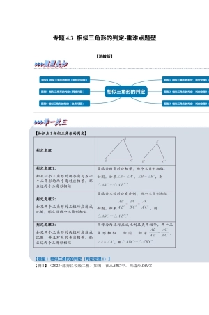 浙教版九年级数学上学期-专题4.3 相似三角形的判定（原卷版）.docx