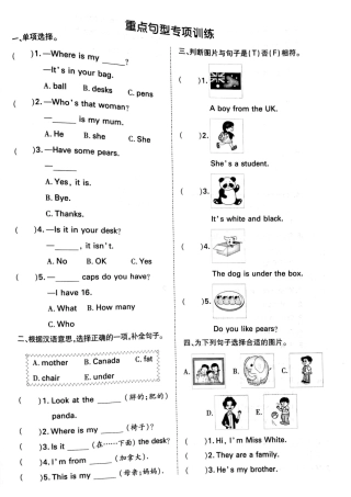 人教PEP英语三年级下册-专项-重点句型训练.pdf