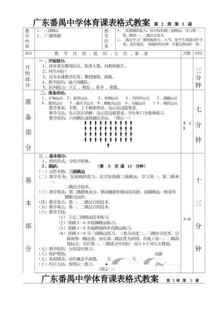 高二体育三级跳远第三课表格式教案.docx