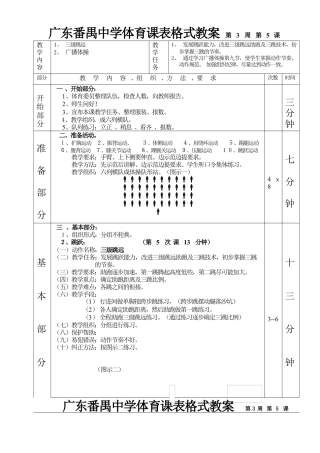 高二体育三级跳远第五课表格式教案.docx
