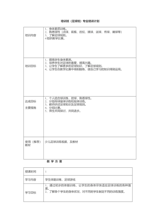 培训班（足球班）专业培训教案计划.docx