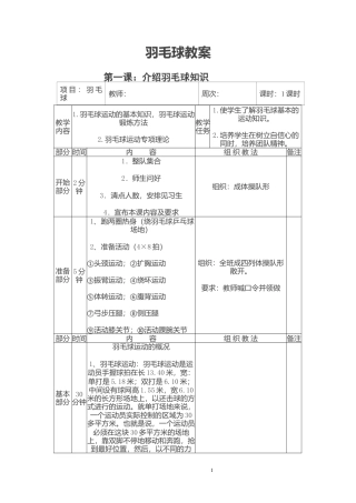 中小学羽毛球教案全（9课时）.docx