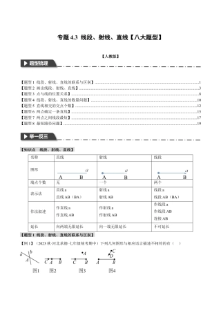 数学七年级上册-专题4.3 线段、射线、直线【八大题型】（举一反三）（人教版）（解析版）.docx