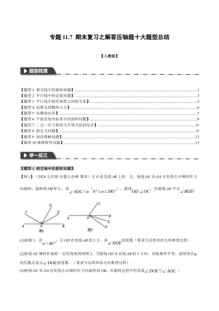 初中数学七年级下-专题11.7 期末复习之解答压轴题十大题型总结（人教版）（原卷版）.docx