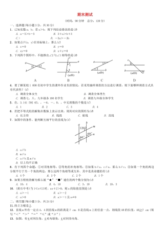 七年级数学下册 期末测试.docx