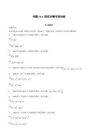 数学八年级上册-专题14.6 因式分解专项训练（人教版）（原卷版）.docx