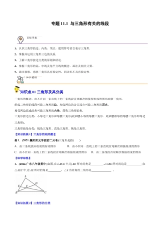 初中数学同步 8年级上册 专题11.1 与三角形有关的线段（学生版）.docx