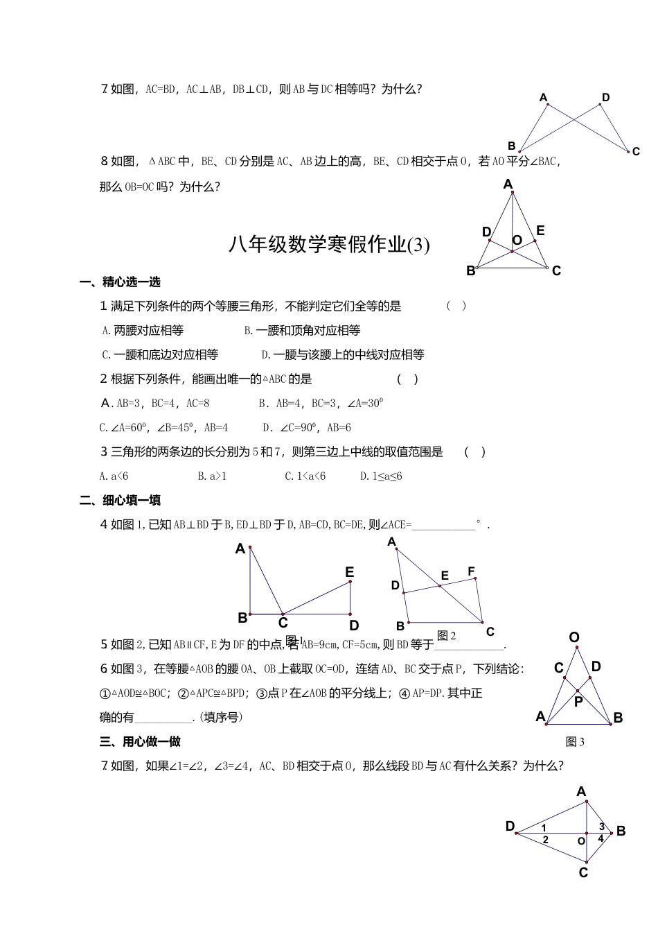 人教版初中数学八年级上册-寒假作业2.docx_第3页