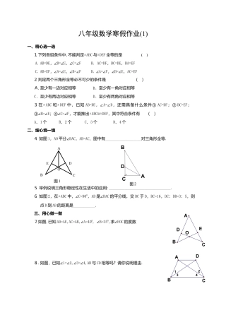 人教版初中数学八年级上册-寒假作业2.docx