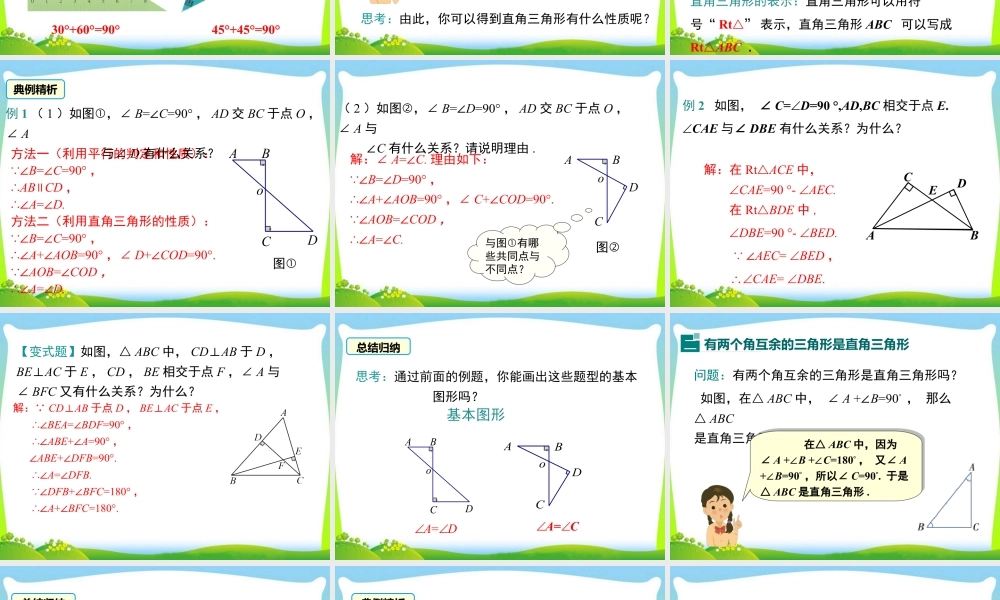人教版数学八年级上册-教学课件-11.2.1 第2课时 直角三角形的性质和判定.ppt