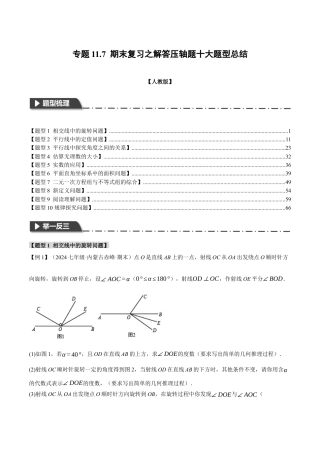 初中数学七年级下-专题11.7 期末复习之解答压轴题十大题型总结（人教版）（解析版）.docx
