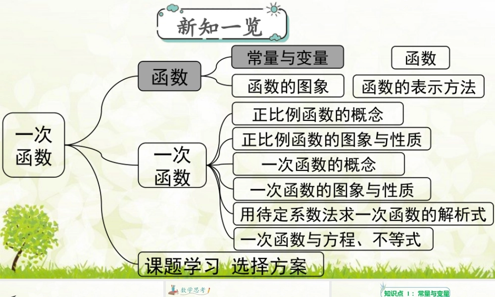 人教版初中数学八下-同步课件-19.1.1 第1课时 常量与变量.pptx