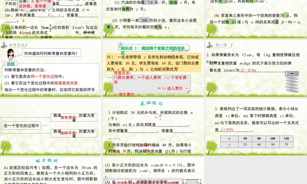 人教版初中数学八下-同步课件-19.1.1 第1课时 常量与变量.pptx