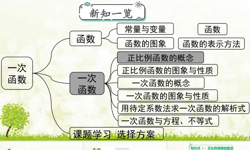 人教版初中数学八下-同步课件-19.2.1 第1课时 正比例函数的概念.pptx