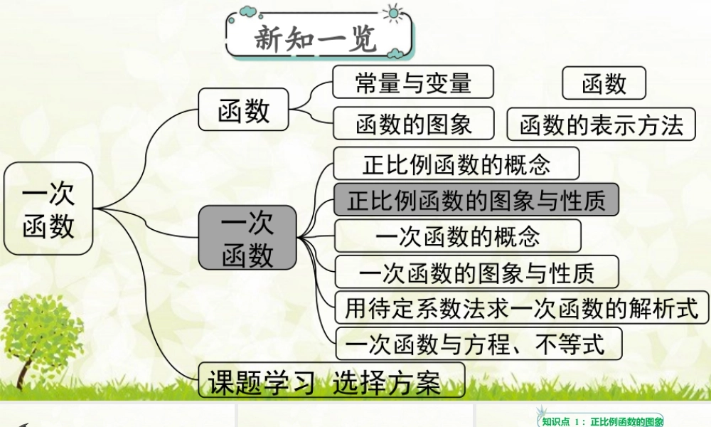 人教版初中数学八下-同步课件-19.2.1 第2课时 正比例函数的图象与性质.pptx
