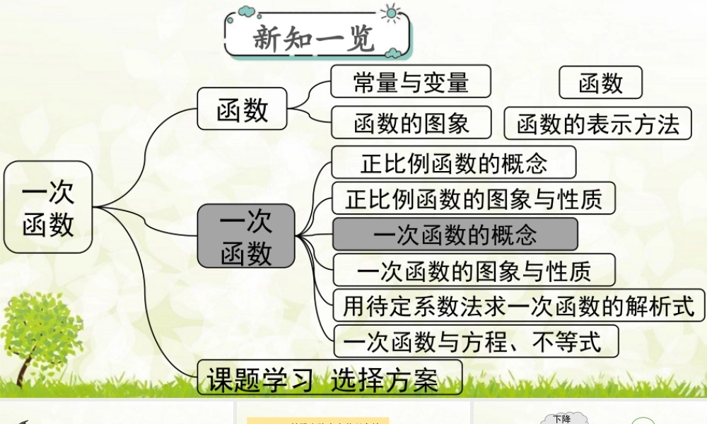 人教版初中数学八下-同步课件-19.2.2 第1课时 一次函数的概念.pptx