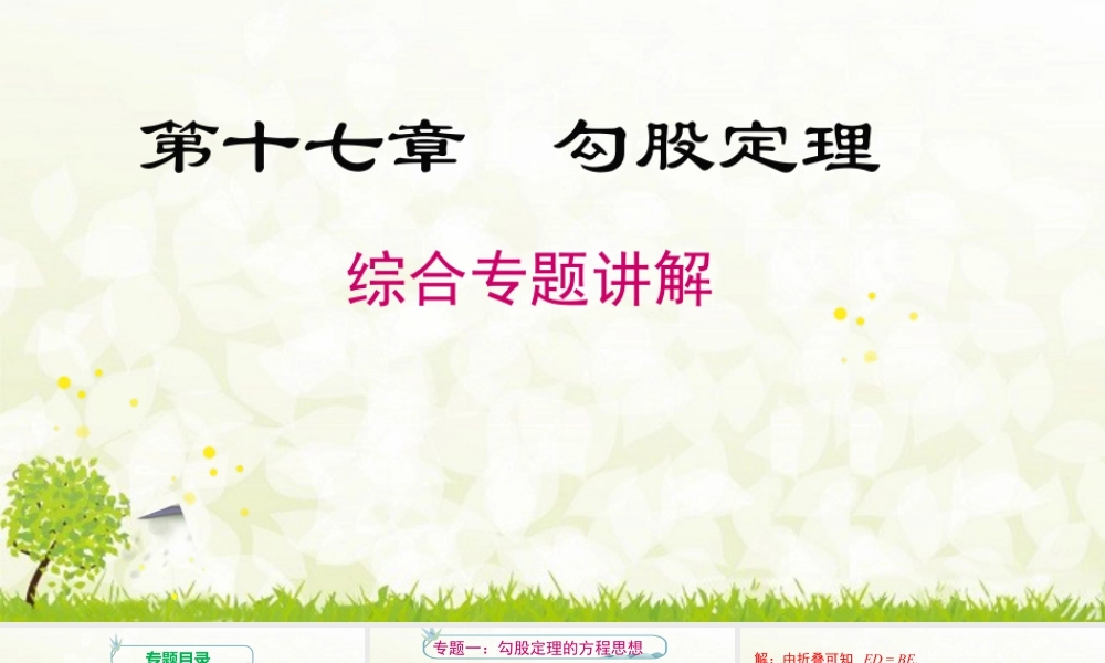 人教版初中数学八下-同步课件-第十七章 《勾股定理》专题课件.pptx