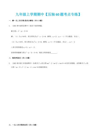 九年级上学期期中【压轴60题考点专练】-九年级数学上学期（人教版）（学生版）.docx