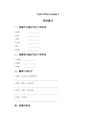 人教（新起点）英语三年级上册 Unit 4 Pets Lesson 1 同步练习 1.doc