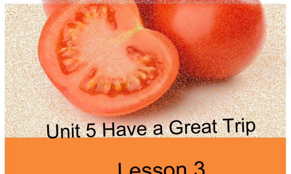 (人教新起点) 五年级英语下册Unit 5 Have a Great Trip Lesson 3 课件 2.ppt