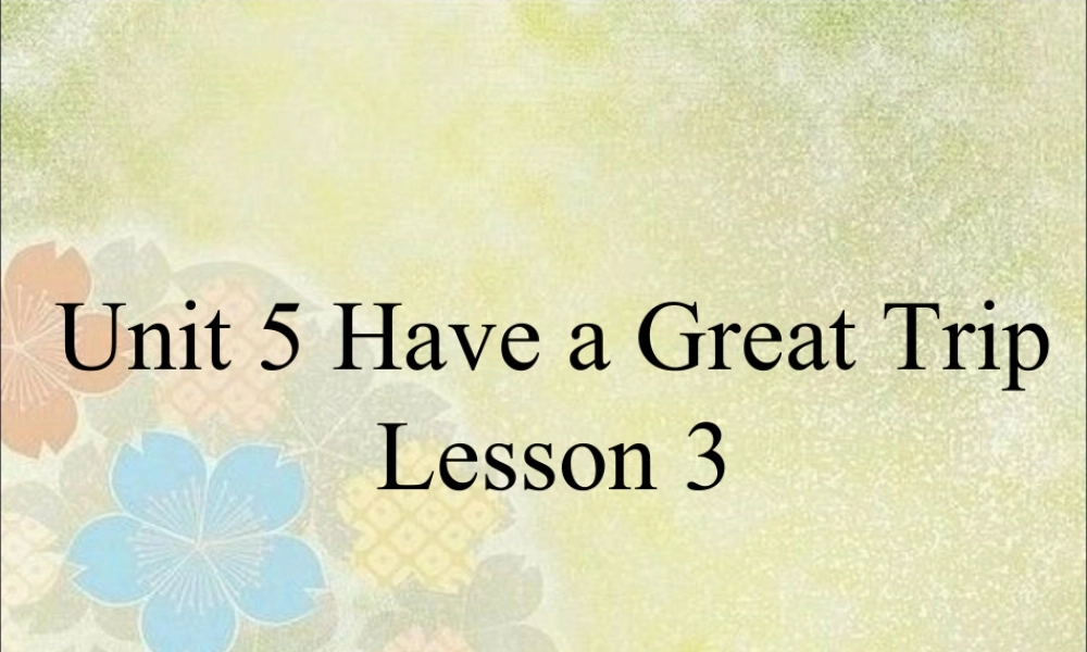 (人教新起点) 五年级英语下册Unit 5 Have a Great Trip Lesson 3 课件 3.ppt