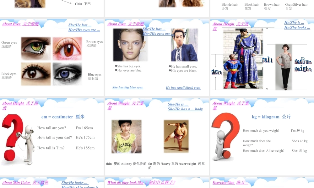 （人教新起点）六年级英语下册 Unit 2 All Around Me Lesson 3 课件2.ppt