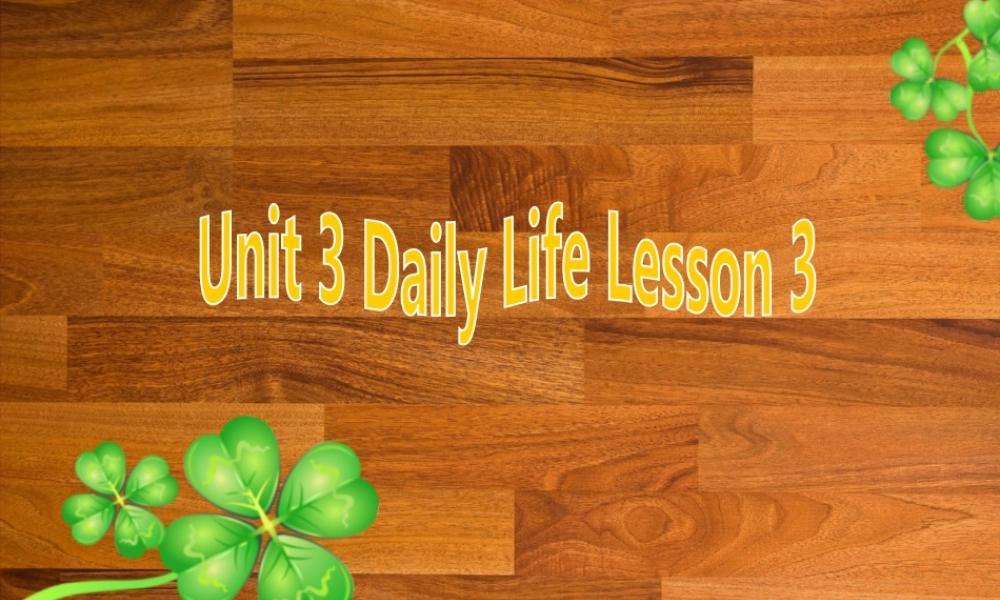 （人教新起点）六年级英语下册 Unit 3 Daily Life Lesson 3 课件 1.ppt