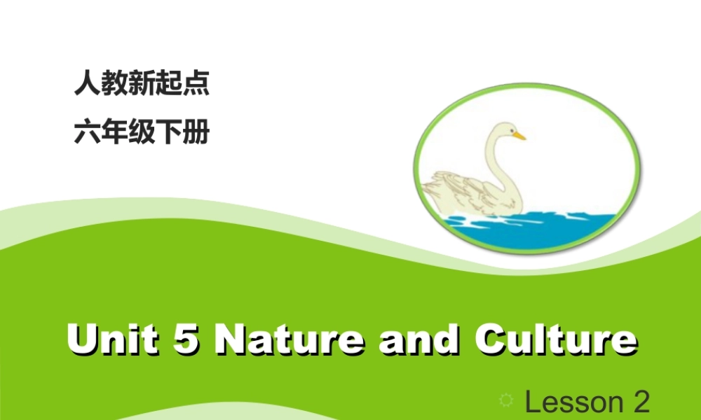 （人教新起点）六年级英语下册 Unit5_Lesson2_教学课件.ppt
