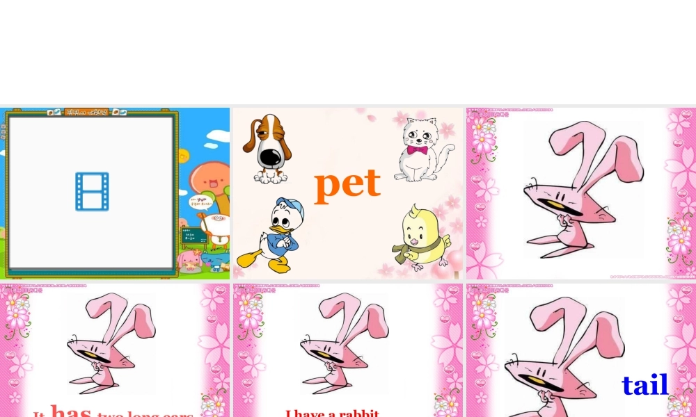 （人教新起点）三年级英语上册《Unit 4 pets》课件1.ppt