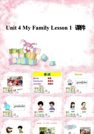（人教新起点）三年级英语下册 Unit 4 My Family Lesson 1 课件 3.ppt