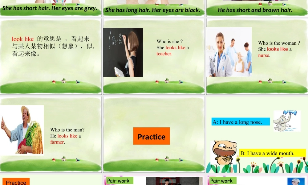 （人教新起点）三年级英语下册 Unit 4 My Family Lesson 3 课件 1.ppt
