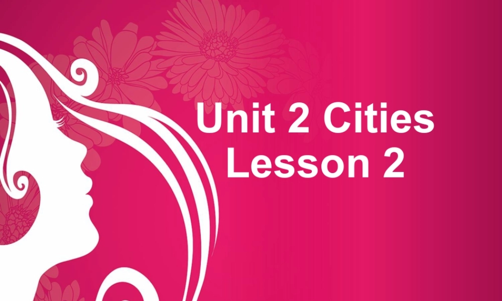 （人教新起点）四年级英语下册Unit 2 Cities Lesson 2 课件2.ppt