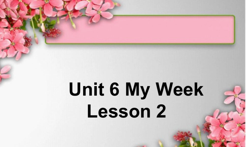 人教（新起点）英语二年级下册 Unit 6 My Week Lesson 2 课件 2.ppt
