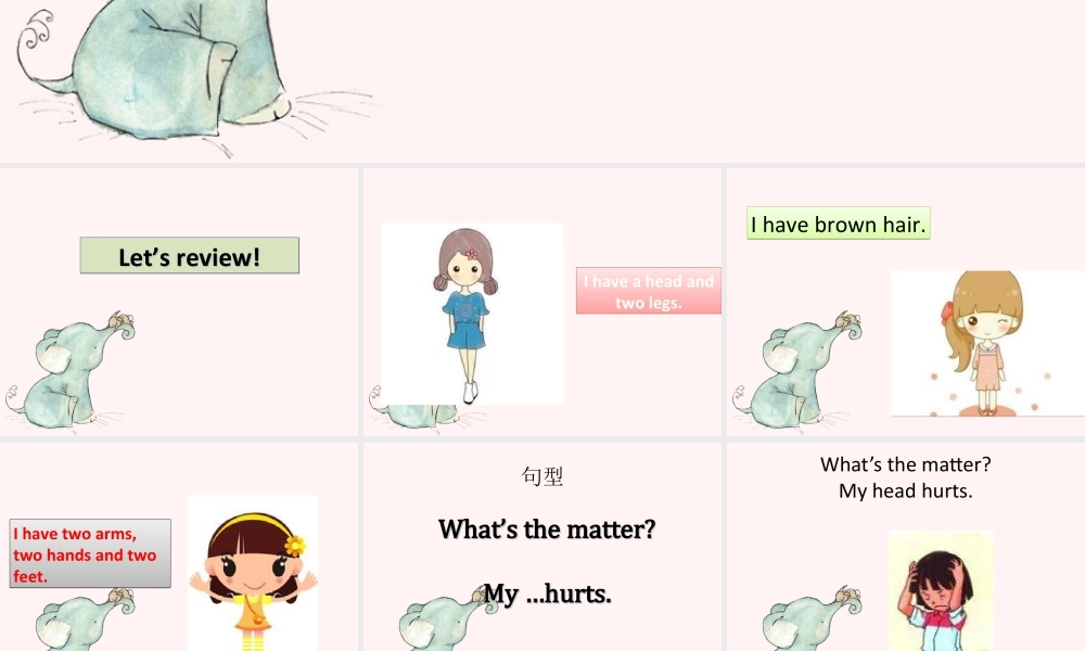 人教（新起点）英语三年级上册 Unit 2 My body Lesson 2 课件.ppt