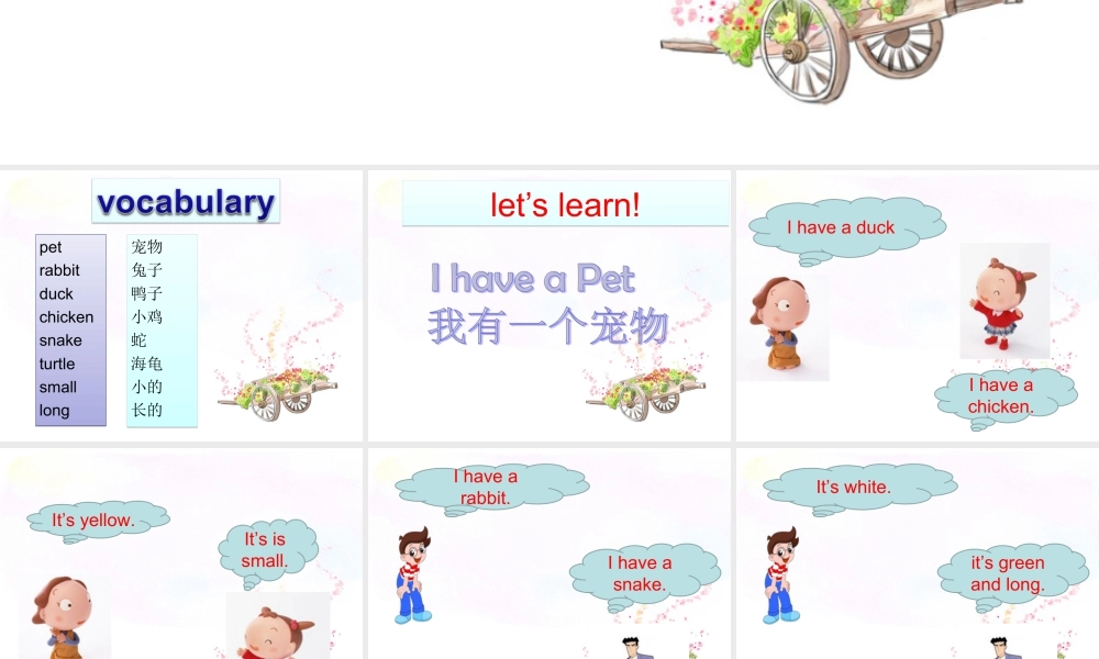 人教（新起点）英语三年级上册 Unit 4 Pets Lesson 1 课件 1.ppt